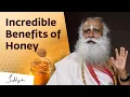 Download Lagu Incredible Benefits of Honey : A Yogic Superfood