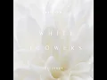 White Flowers