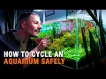 HOW TO CYCLE YOUR AQUARIUM THE RIGHT WAY