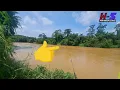 Lagu Ikan purba melahap umpan