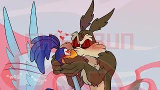 Coyote SMOOCHES the ROAD RUNNER?!! (Coyote Vs ACME Comic Dub)