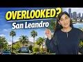 San Leandro Neighborhoods Which One Is Right for You