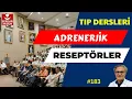 Lagu 183. Farmakoloji, Adrenerjik reseptörler