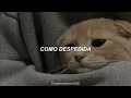 A chillar a otra parte - Pesado // Letra