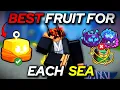 The BEST Grinding Fruits for Every Sea in BloxFruits