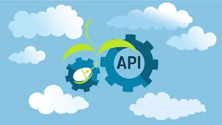 What is Third Party API Integration