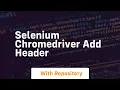 selenium chromedriver add header