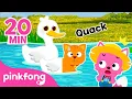 Lagu Quack? Let's find the Animal Sound in Farm \u0026 Jungle | Story for Kids | Pinkfong Official