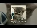 Download Lagu Maroon 5 - Daylight (Speed Up + Reverb + Underwater) Tiktok Version