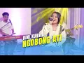 Download Lagu Dini Kurnia - Ngobong Ati (Official Music Video)