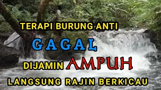 Download Terapi Burung Anti Gagal, Dijamin Burung Rajin Berkicau Dengan Suara Air MP3