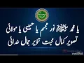 Download Lagu ya Muhammad Noor e Mujasim ya Habibi ya moulaye. silsila idreesia 381