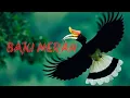 Download Lagu Lagu Dayak-Baju Merah. Lyric