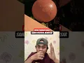 Download Lagu Hewan Ini Menggitmu Sampai Meledak! #shocking