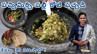 10 Mins Instant Roti Pachadi | ఘుమఘుమలాడే మహారాష్ట్ర స్టైల్ పల్లీ చట్నీ తయారీ విధానం ✨
