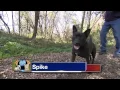 6abc Shelter Me The Sanctuary at Haafsville