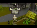 Easy to Learn Moneymaking Herb Run Guide Earn Millions of Passive Gold w THIS 6 Minute Routine