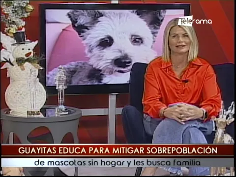 Campaña de esterilización de perritos y gatitos en diferentes cantones del Guayas