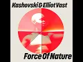 Force Of Nature (Extended Mix)