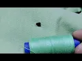 Channel