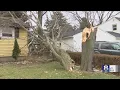 10 5 million state settlement for RGE NYSEG s 2018 storm failures