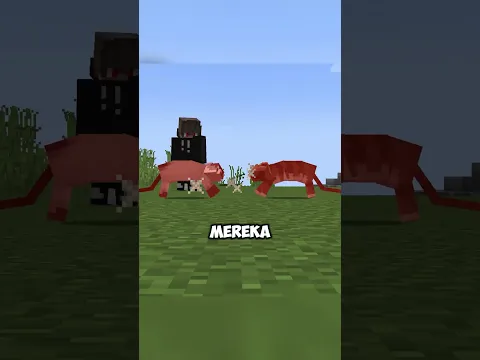 Mod Ini Membuat Kucing Jadi Ribut