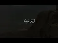 صوت ينسيك الدنيا ❤️‍🩹 "  أجمل حالات واتس اب قرآن كريم بصوت جميل جدا ❤️✨ Quran Status