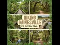 Exploring Gainesville 5 Must See Hiking Trails