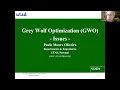 Grey Wolf Optimization - Introduction and some issues In English