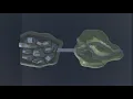 Influence Maps in Unity