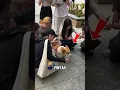 Download Lagu JANGAN REMEHIN ANJING KECIL INI