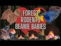 ty Beanie Baby Collection Bats Mice and More