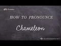 How to Pronounce Chameleon Real Life Examples