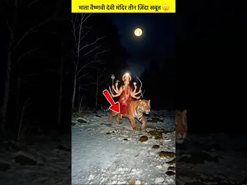 वैष्णवी देवी के तीन ज़िंदा सबूत 😮#india