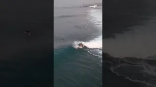 Surf!! 🌊🏄‍♀️