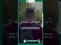 Download Lagu MERDUNYA SYEKH ALI JABER SURAH Asy - Syam (1-15)