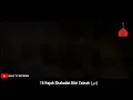 Download Lagu Shahdat e Bibi Zainab  Status nOha hum ho ky ay hai barbad nana