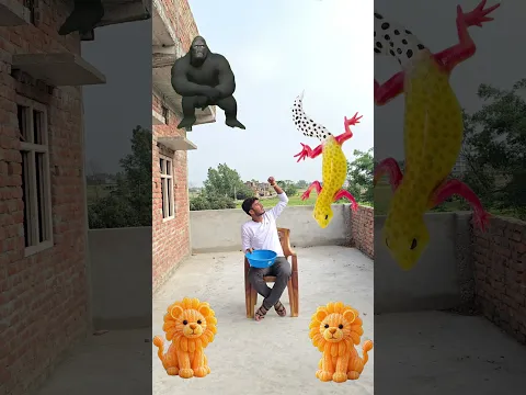 Flying crying babies Catching vs danching gorilla,, cute bhabhi,, parrot, good day funnyvideo😄😄😄