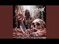 Download Lagu Morbid Sanity