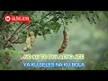 Download Lagu DEN BAGE / IYAN AMIR / SEROJA BAND / KARAOKE LAGU SUMBAWA / TANPA VOCAL