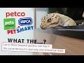 Reacting To Leopard Gecko Care Guides Petco Petsmart More