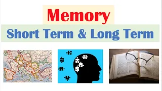 Download Types of Memory | Short Term \u0026 Working Memory, Long Term Memory (Explicit and Implicit) MP3
