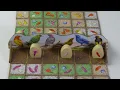 BOWER BOARDGAME TUTORIAL