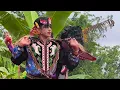Lagu Perang Celeng Jaranan SATRIO WAHYU MUDHO Live Gambrengan Sidomulyo Tulungagung // L-SHA Audio 