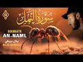 Download Lagu سورة النمل🐜 كاملة تلاوة هادئة 😴 - بلال دربالي Sourate An-Naml - Bilal Darbali Récitation Relaxante l