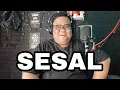 Download Lagu SESAL - ELVY S (KOPLO) || COVER BY @bigtulus_official