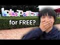 I got into Lollapalooza for FREE Here s What Happened