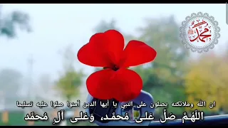 عطر لسانك بالصلاة على النبي دندنها
