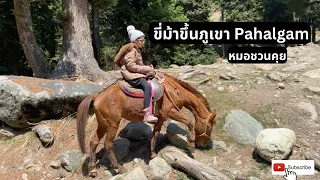 อะไรคือเหตุผลที่ควรหลีกเลี่ยงการอาบน้ำขณะขี่ม้าขึ้นเขา