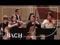 Lagu Bach - Concert voor twee violen in d klein BWV 1043 - Sato en Deans | Nederlandse Bachvereniging